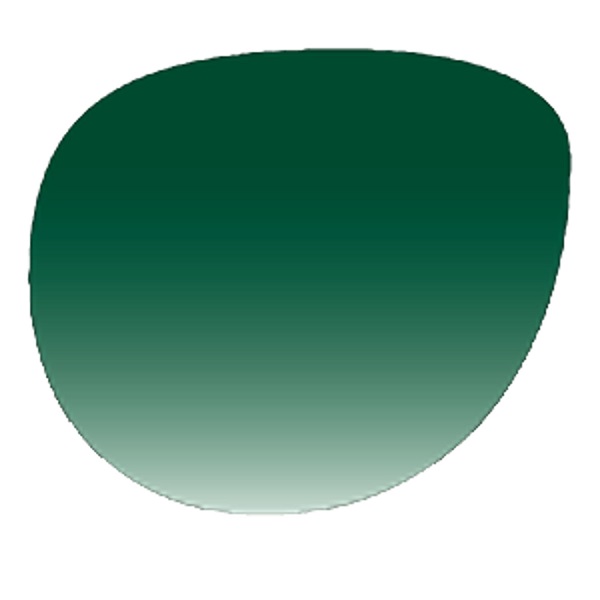 Краска OptiSafe Forest Green 20гр. C250-17