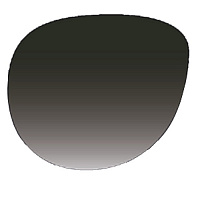 Краска OptiSafe Black 20гр. C250-09