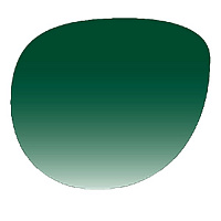 Краска OptiSafe Forest Green 20гр. C250-17